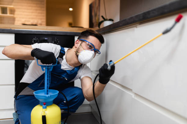 Best Flea Control Services  in Woodstock, IL