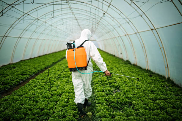 Pest Control Cost in Woodstock, IL