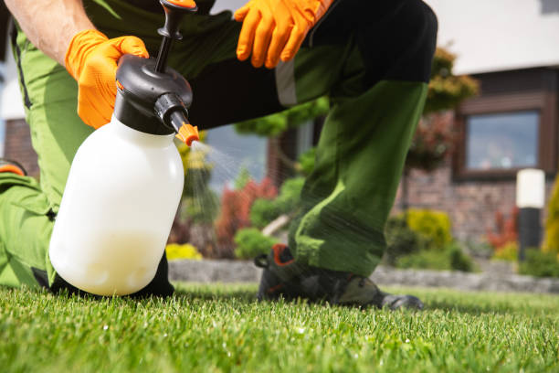 Best Local Pest Control Services  in Woodstock, IL