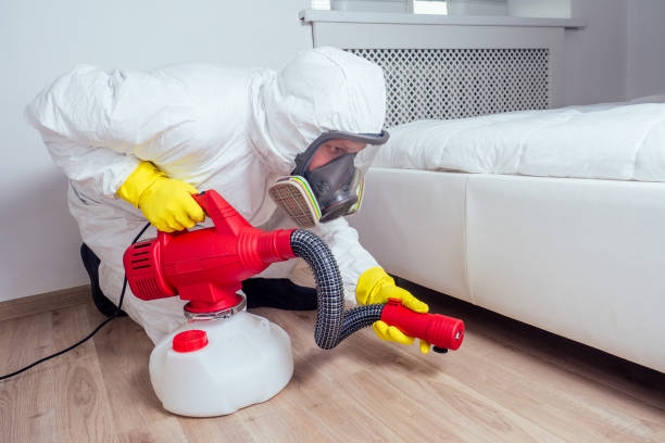 Best Mosquito Control Services  in Woodstock, IL