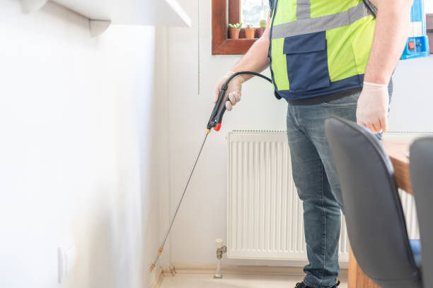 Best Termite Control Services  in Woodstock, IL