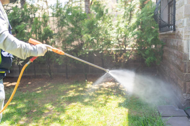 Best Affordable Pest Control Services  in Woodstock, IL
