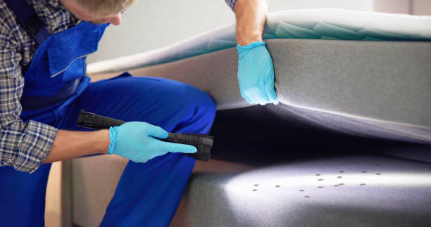 Best Pest Control Near Me  in Woodstock, IL