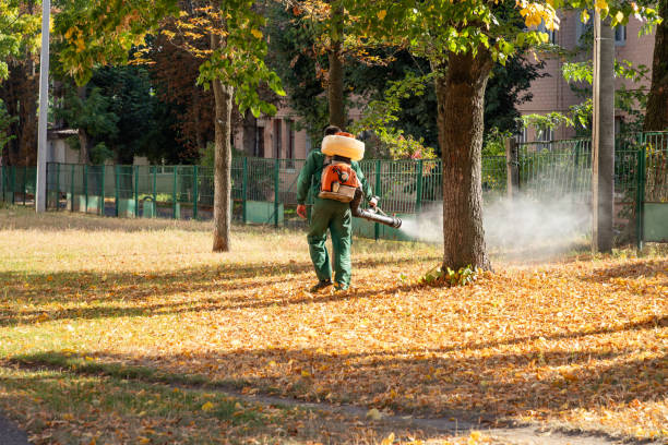 Best Commercial Pest Control Services  in Woodstock, IL